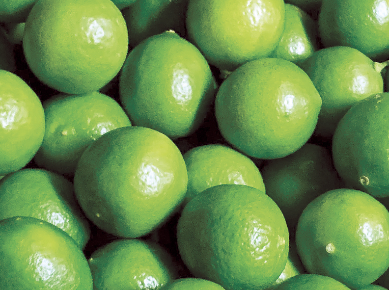 El limón Tahití tuvo unas jugosas exportaciones en los cuatro primeros meses del año: ojo al positivo balance