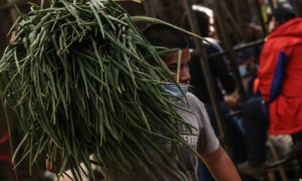 Aberrante: niños venezolanos estarían siendo explotados laboralmente en Corabastos, se encienden las alarmas