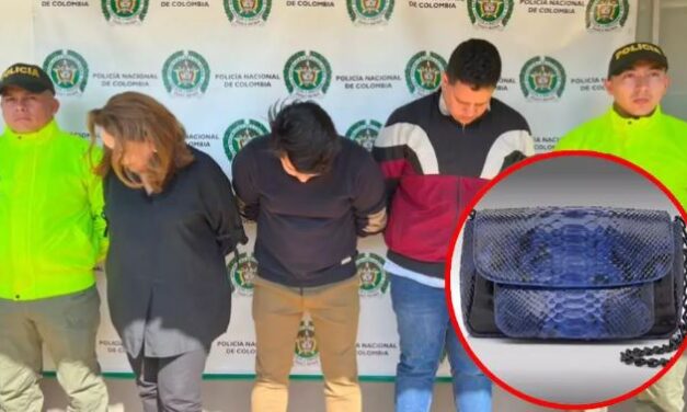 Capturan a empresaria de moda colombiana que comercializaba presuntamente, artículos con pieles de animales