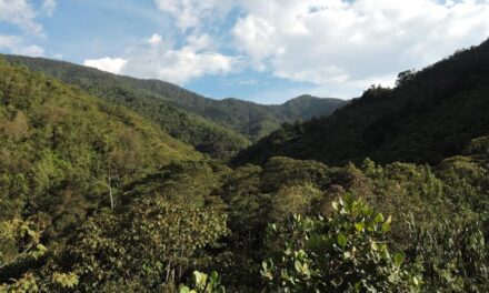 Medellín ratifica su compromiso con la biodiversidad y el bienestar animal, conozca los detalles