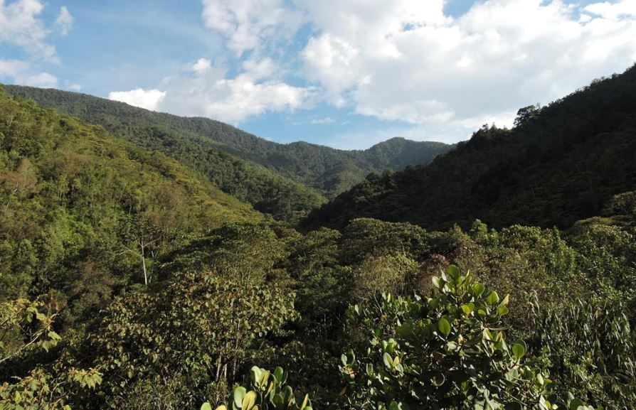 Medellín ratifica su compromiso con la biodiversidad y el bienestar animal, conozca los detalles
