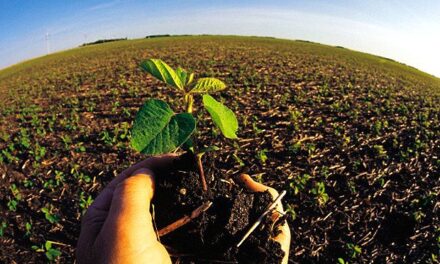 Nutrición sostenible para no devorar el planeta