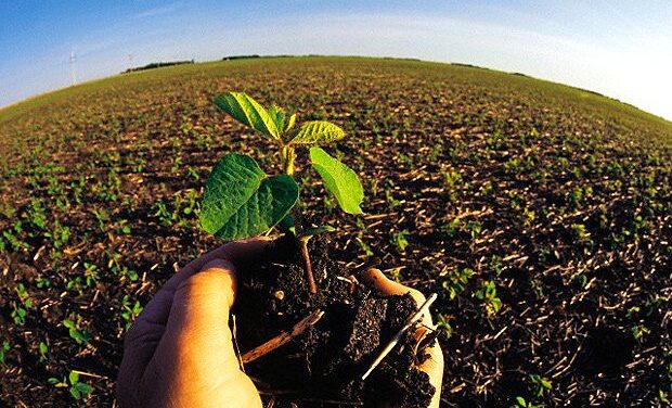 Nutrición sostenible para no devorar el planeta