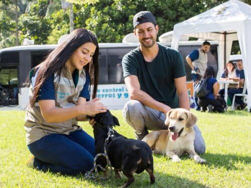 Conozca ¿Cómo adoptar un animal de compañía en Medellín?