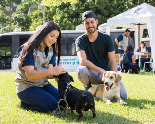 Conozca ¿Cómo adoptar un animal de compañía en Medellín?