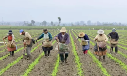 La Reforma Agraria es una deuda histórica con el pueblo colombiano: Senador Cesar Pachón