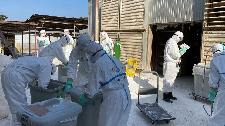Nueva amenaza de gripe aviar en Japón, conozca los detalles