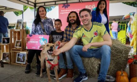Más de perros y gatos han sido adopatados del Centro de Bienestar Animal La Perla este año