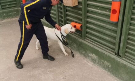 6.000 caninos refuerzan la seguridad privada en Colombia