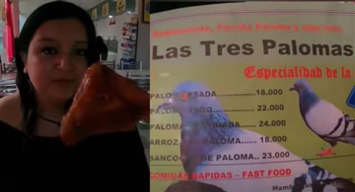 Paloma asada: Youtube invento que supuestamente en un restaurante de Bogotá vendían Paloma Asada