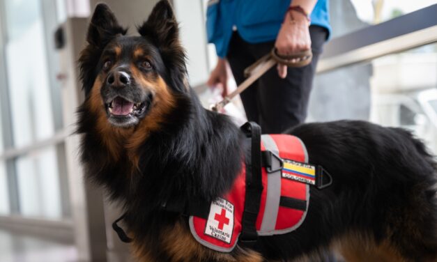 Misión colombiana viaja a Turquía para ayudar a las víctimas del terremoto