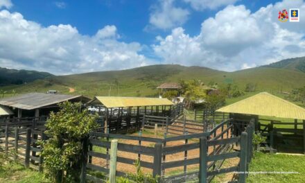 Finca de los hermanos Castaño fue entregada como fondo para la reparación de víctimas