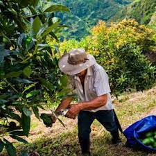 Presidente Gustavo Petro indico que se cumplira la Reforma Agraria