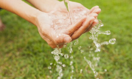 Dos hábitos diarios que producen un inmenso consumo de agua y contaminación de acuerdo con la ciencia