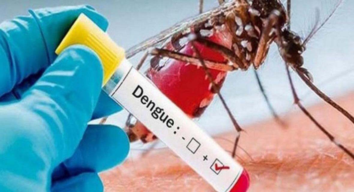 Colombia en cuenta con 17.283  casos de Dengue en lo que lleva del año