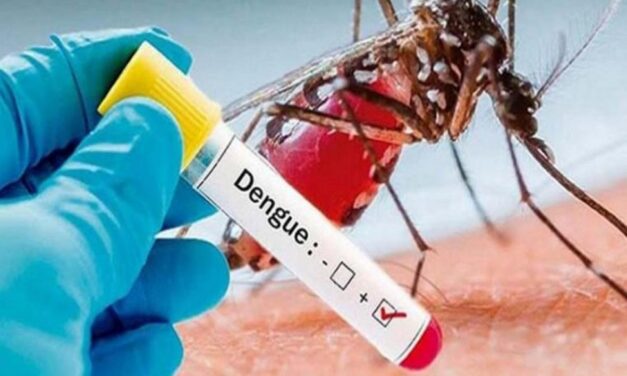Janssen anuncia que pastilla contra el dengue ya está en ensayo clínico fase 2a