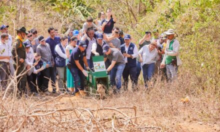 En pro de mejorar la fauna silvestre la Defensoría del Pueblo trabaja para impulsar los derechos a un ambiente sano