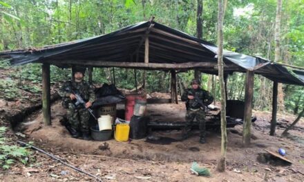 Ejército Nacional ubica y destruye un laboratorio para el procesamiento de pasta base de coca, en Antioquia.