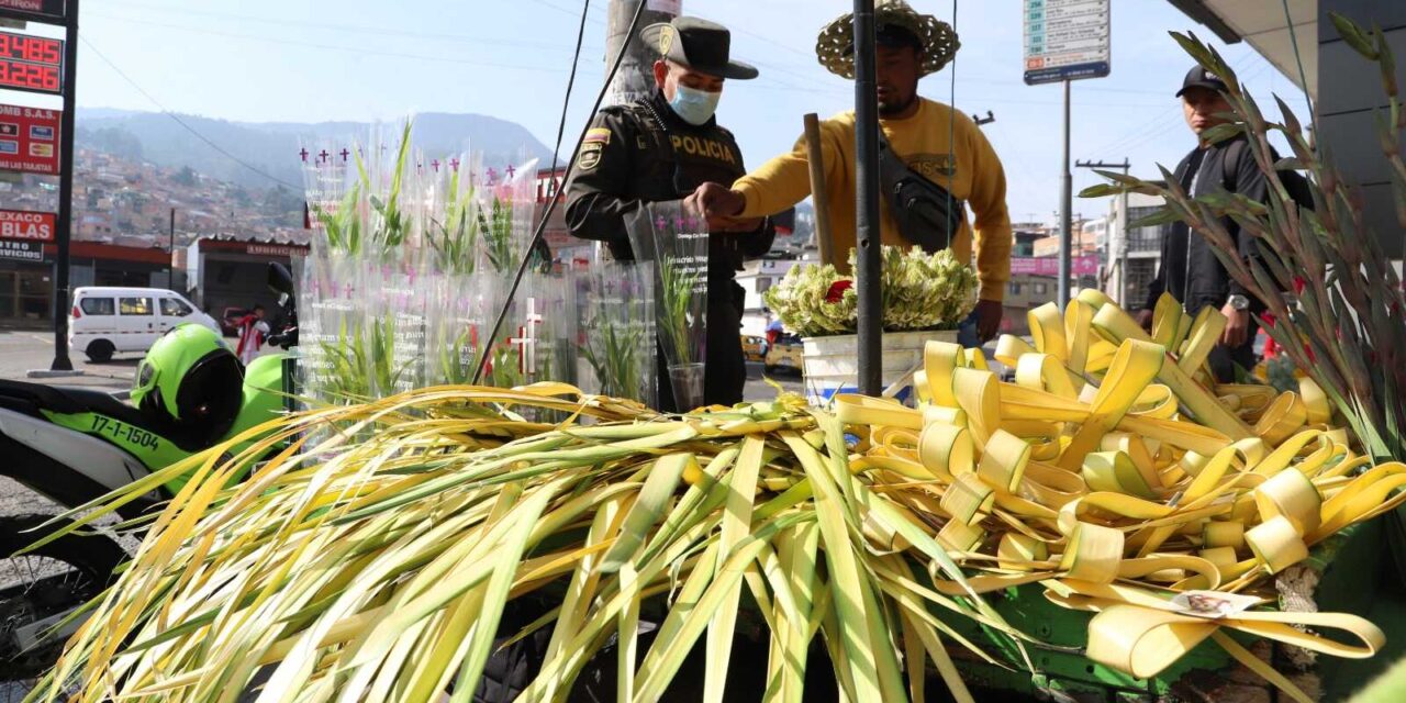 Policía Metropolitana logra incautar 250 kilos de palmas silvestres y 6 aves en operativo de control del domingo de Ramos