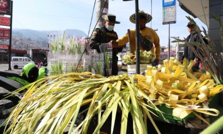 Policía Metropolitana logra incautar 250 kilos de palmas silvestres y 6 aves en operativo de control del domingo de Ramos