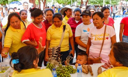 En Tuchín, el municipio con mayor impacto de Tránsito a Renta Ciudadana, Prosperidad Social