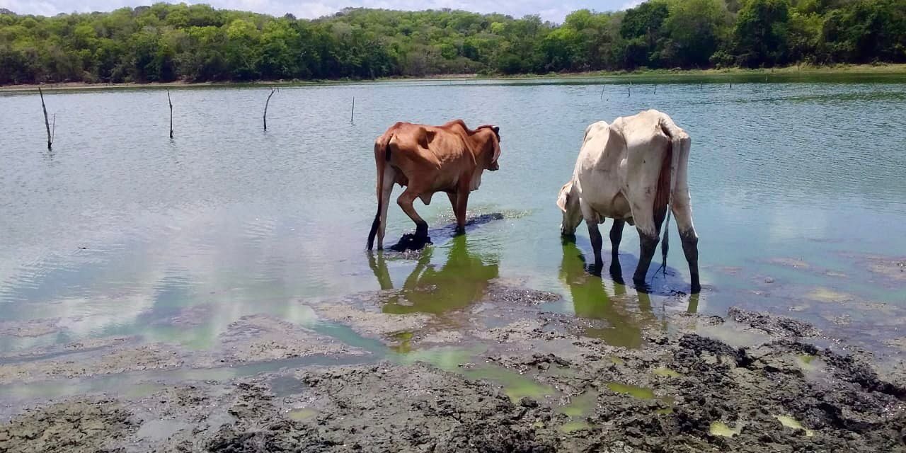 Gobernación de Bolívar adopta medidas para prevenir afectaciones del Fenómeno de El Niño