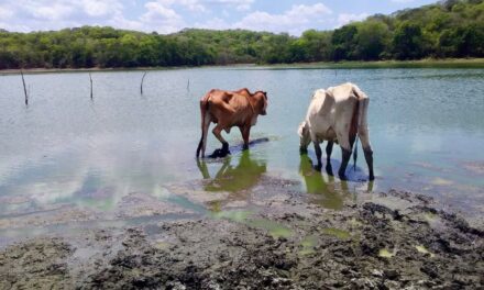 Gobernación de Bolívar adopta medidas para prevenir afectaciones del Fenómeno de El Niño