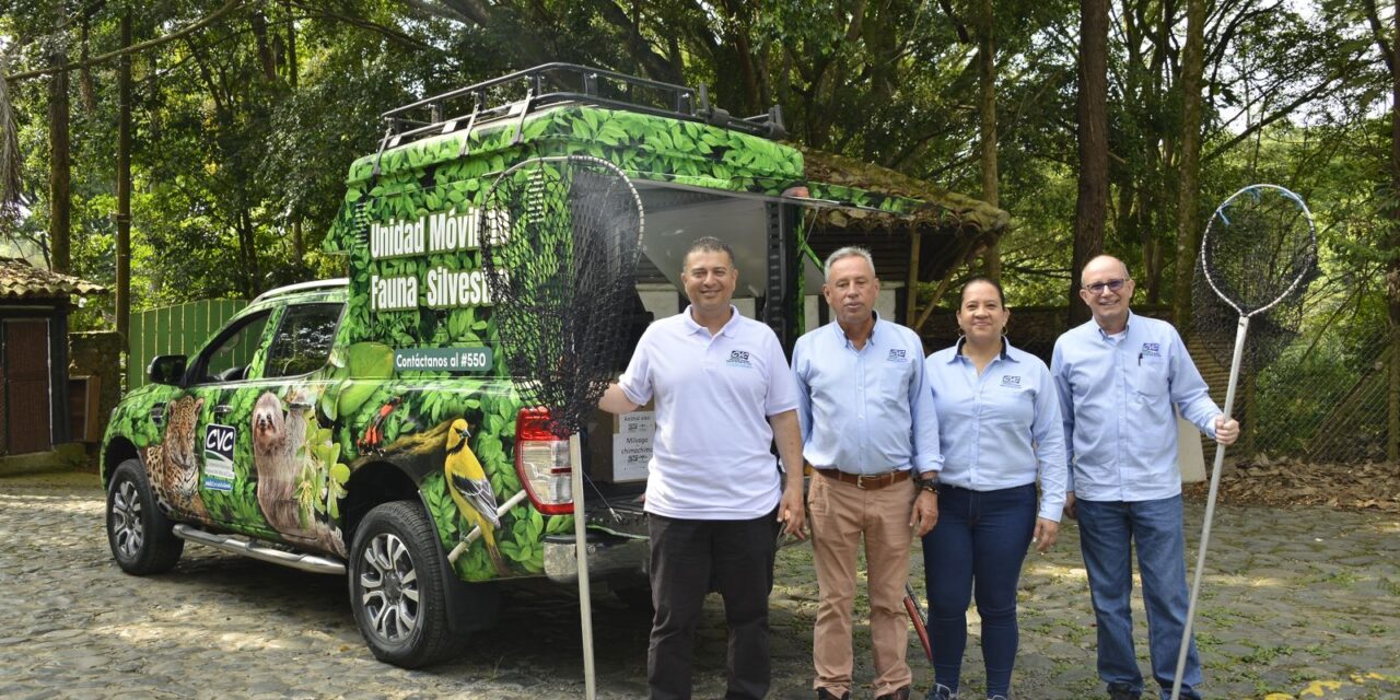 LIBERAN TRES AVES RAPACES Y LA CVC ESTRENA UNIDAD MÓVIL DE FAUNA SILVESTRE