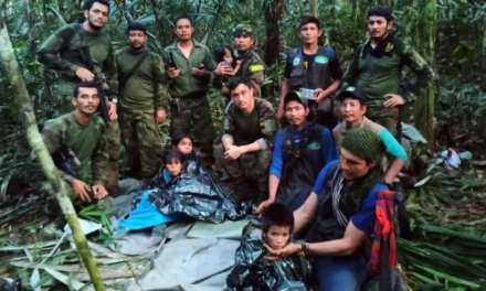 Así avanzan los niños rescatados de la selva del Guaviare