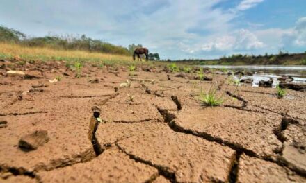 SE ACERCA EL FENÓMENO DE EL NIÑO A COLOMBIA