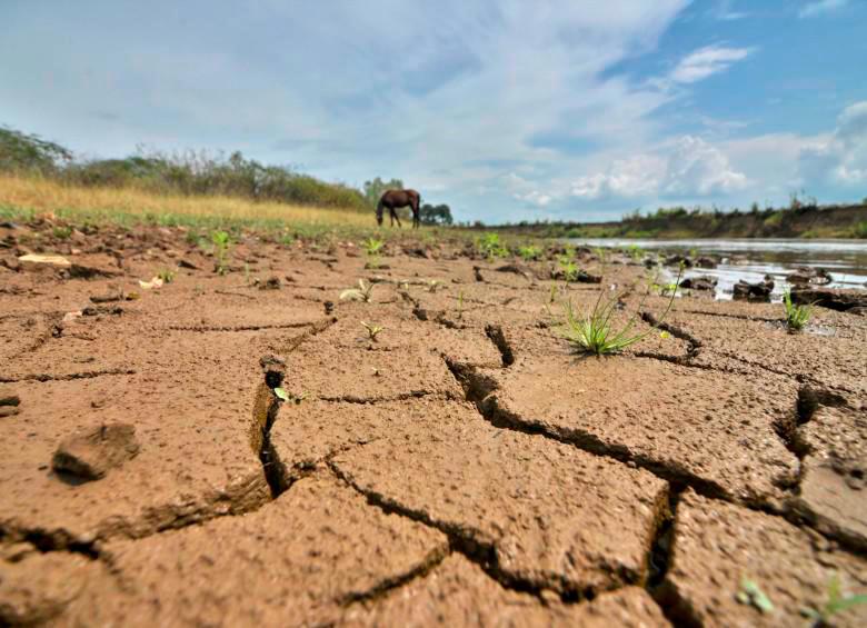 SE ACERCA EL FENÓMENO DE EL NIÑO A COLOMBIA