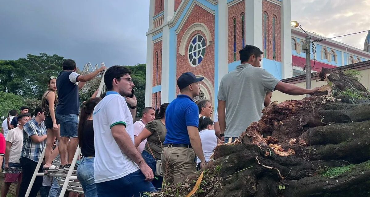 Árbol cayó y mató a mujer en Restrepo, Meta