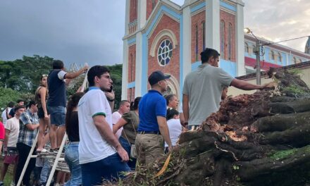 Árbol cayó y mató a mujer en Restrepo, Meta