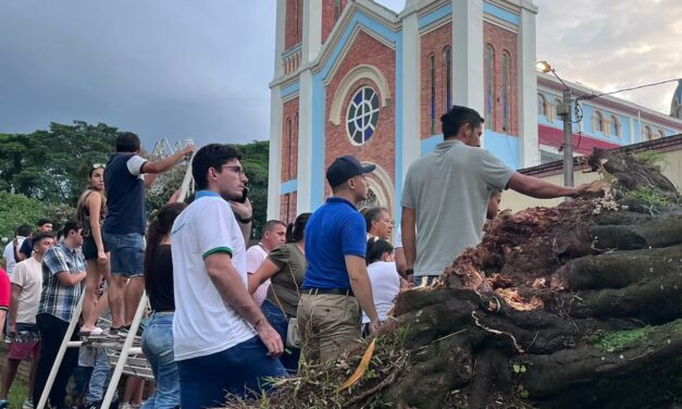 Árbol cayó y mató a mujer en Restrepo, Meta