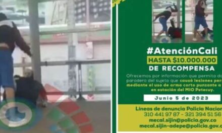 Millonaria recompensa por hombre que atacó a un ciudadano en una estación del MÍO