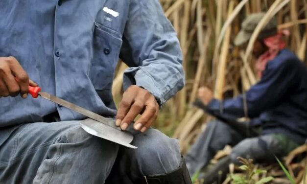 CONTINÚAN INTIMIDACIONES AL SECTOR DE LA CAÑA EN EL VALLE Y CAUCA