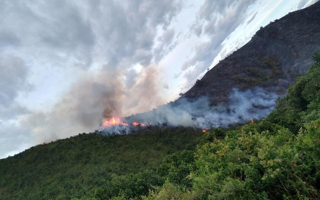 CERROS DE YOTOCO AFECTADOS POR INDENCIOS FORESTALES