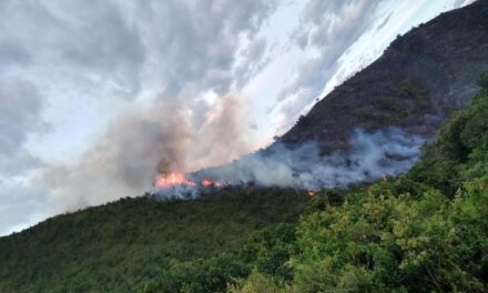 CERROS DE YOTOCO AFECTADOS POR INDENCIOS FORESTALES