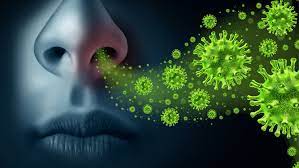 En el día mundial de la Zoonosis, Minsalud exhorta a la prevención y control del contagio