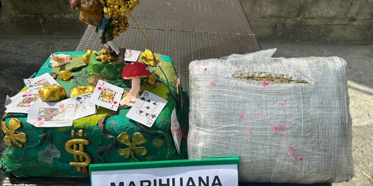 Descubren más de 2 mil gramos de marihuana camuflados en un envío de pastelería