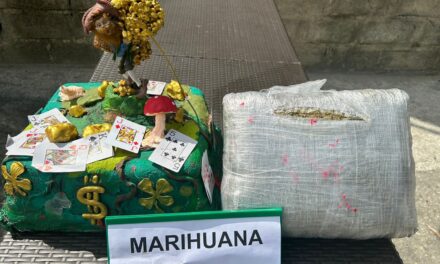 Descubren más de 2 mil gramos de marihuana camuflados en un envío de pastelería