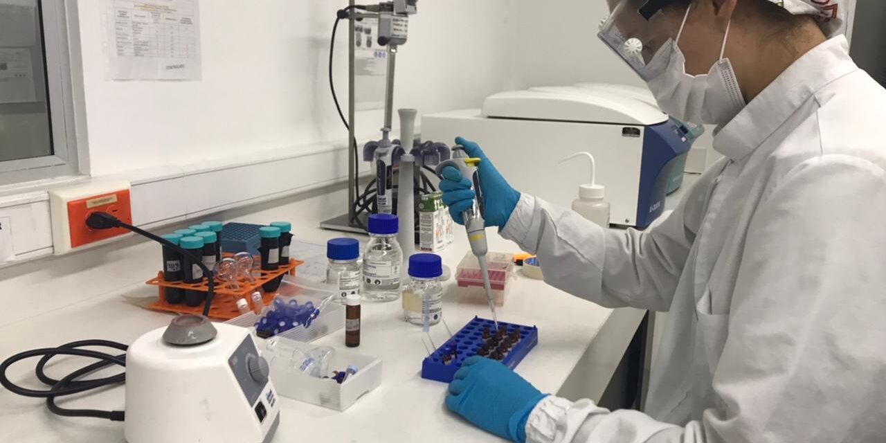 Mipymes y laboratorios de sectores clave obtendrán hasta 130 millones de pesos para certificaciones de calidad y exportación