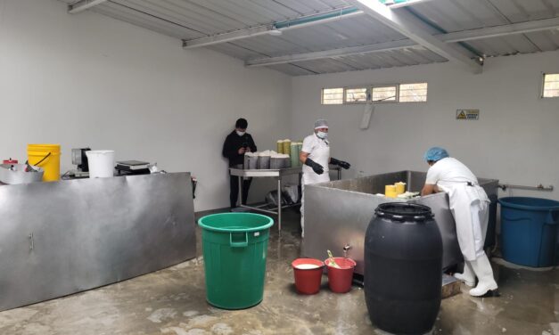 Gobierno incentiva la innovación y el fortalecimiento del sector lácteo en el Cauca 