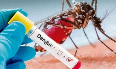 Ministerio de Salud insiste en reforzar medidas preventivas y de control ante brote de dengue en Colombia