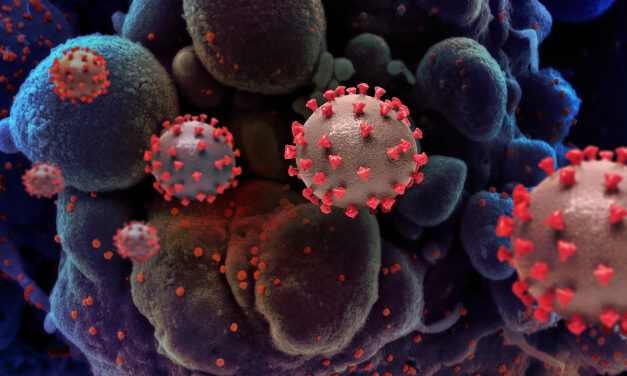 Nueva variante del Coronavirus, EG.5, fue detectada en Colombia