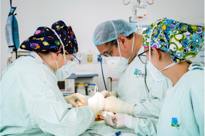 La Clínica Somer de Rionegro llegó a 100 procedimientos de trasplante de órganos