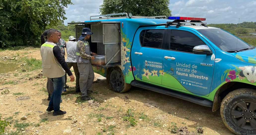 Trasladan animales silvestres víctimas de tráfico de Medellín a Cartagena