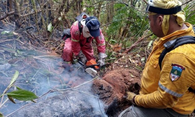 280 incendios forestales en el Valle a causa del Fenómeno de el Niño