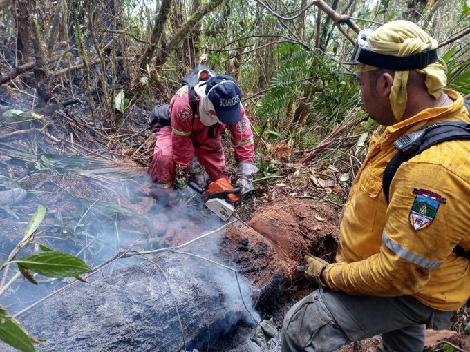 280 incendios forestales en el Valle a causa del Fenómeno de el Niño