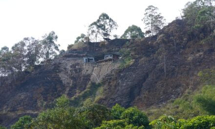 Cali: Tras incendios forestales, personas estarían intentando ocupar predios en la Buitrera